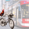 Joy on two wheels